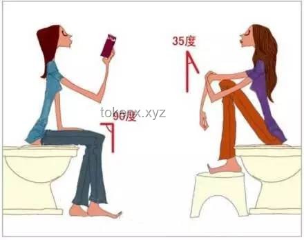 坐马桶与蹲便上厕所姿势对比分析